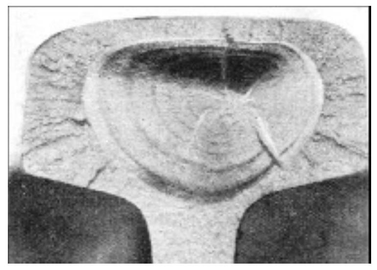 29287ce57f8604a4e15c1d7980134571_MD5