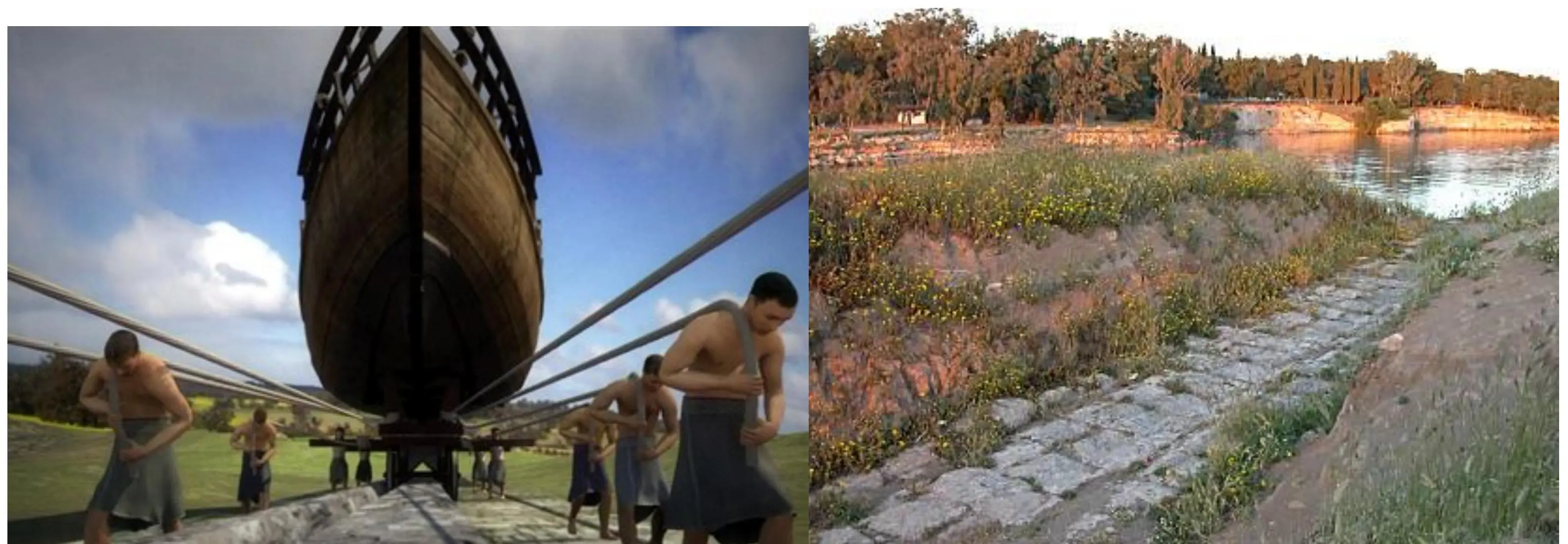 8cfe703a5a095600051f6d988451b451_MD5