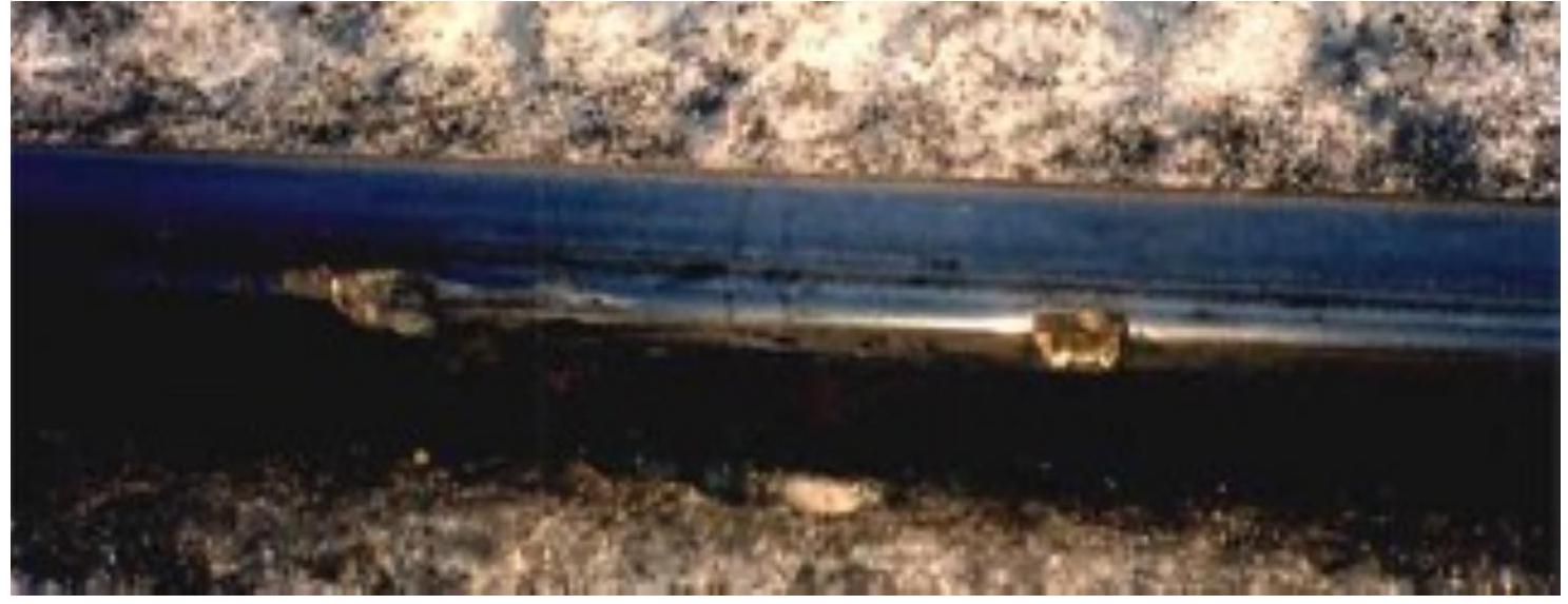 bc83fc37c6b8e7d3efe2e50c1ab4e762_MD5