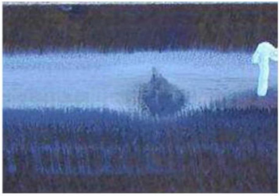 ee0e361d7343be044062827f57ea2b9a_MD5